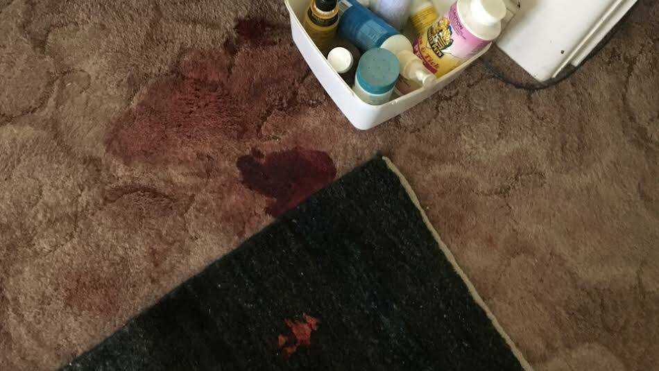 Clawed intruder: Blood stains on the carpet of Mrs Sultans home from the attack.