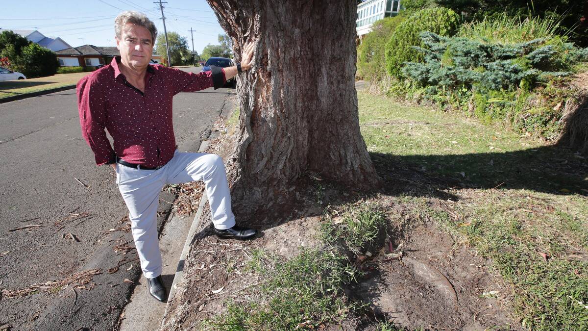 Getting to the root of the problem: Sylvania rsident Mark Topple has had an ongoing battle with Sutherland Shire Council over this tree which he says has been planted on the sewer line. Picture: John Veage