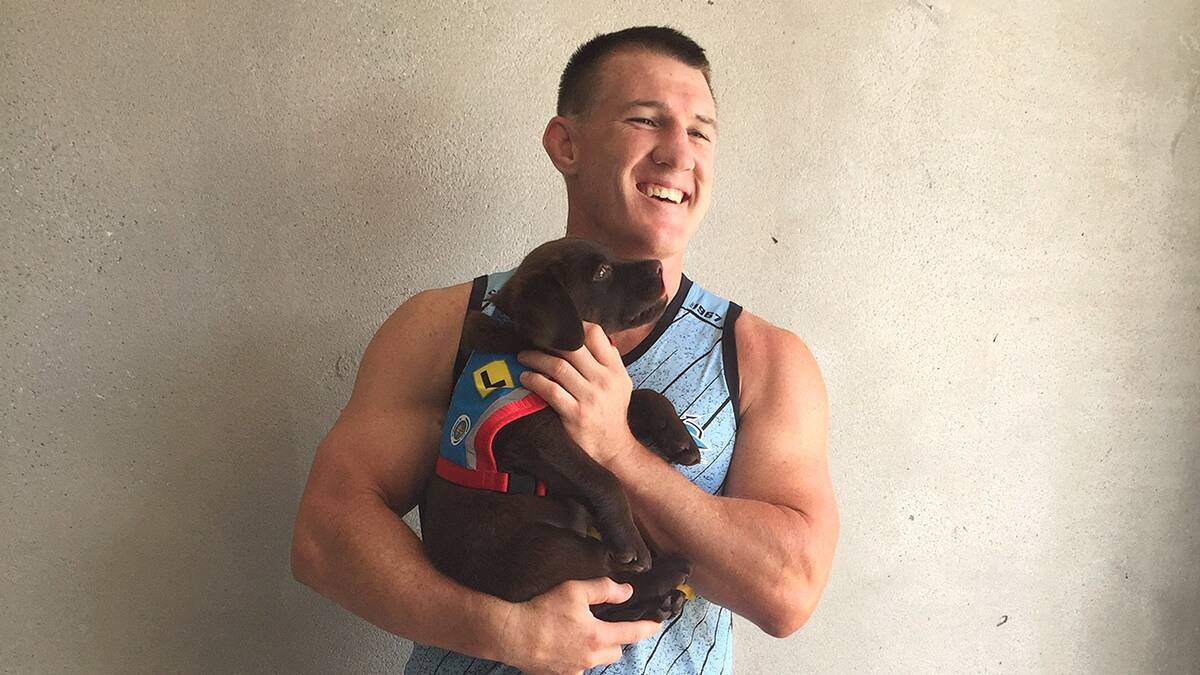 New Shark: Paul Gallen with his namesake, a  pup that has a lot of learning ahead of him before he’s truly earned his name.