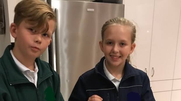 Luke (11) and Hayleigh Smith (12) were missing with police holding serious concerns for their welfare. Picture: NSW Police