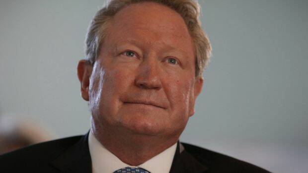 Andrew Forrest's Fortescue Metals said the decision had no impact on the current and future operations or mining tenure at the Solomon Hub. Photo: Andrew Meares
