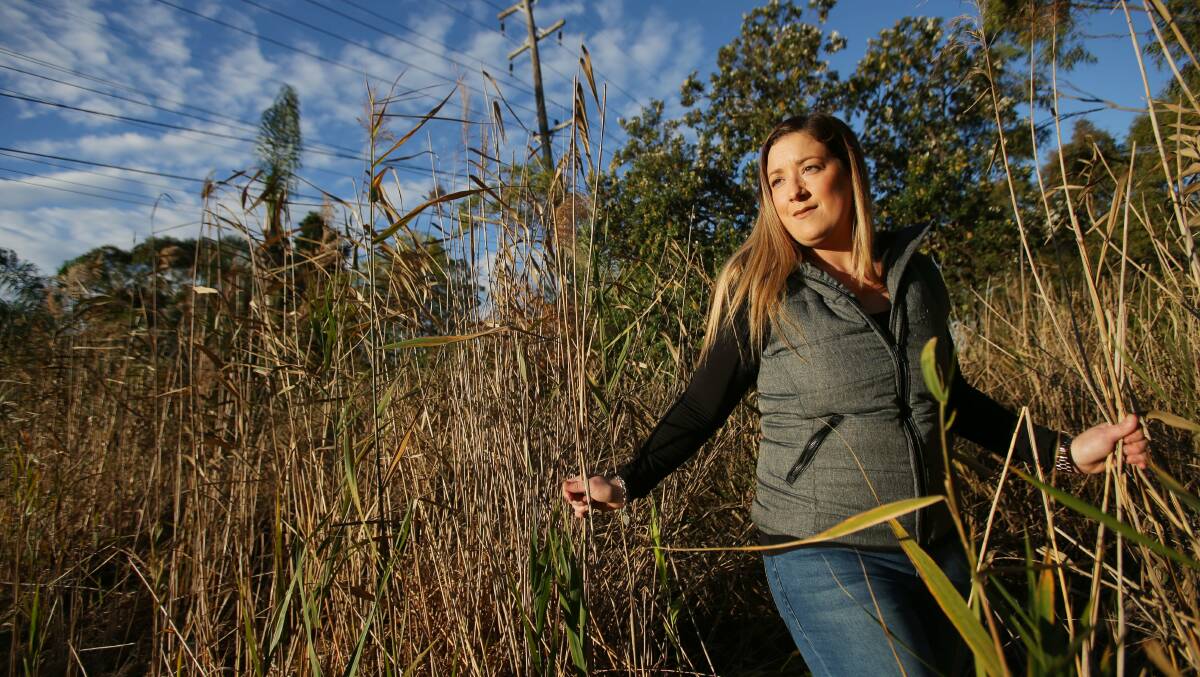 Overwhelmed: Jessica Whiteoak said reeds have overtaken the Bado Berong Creek. Picture: Chris Lane