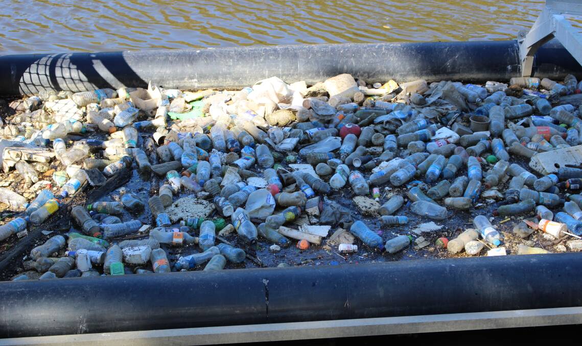 Thrown out: Some of the plastic bottles collected from the Cooks River. Picture: Supplied