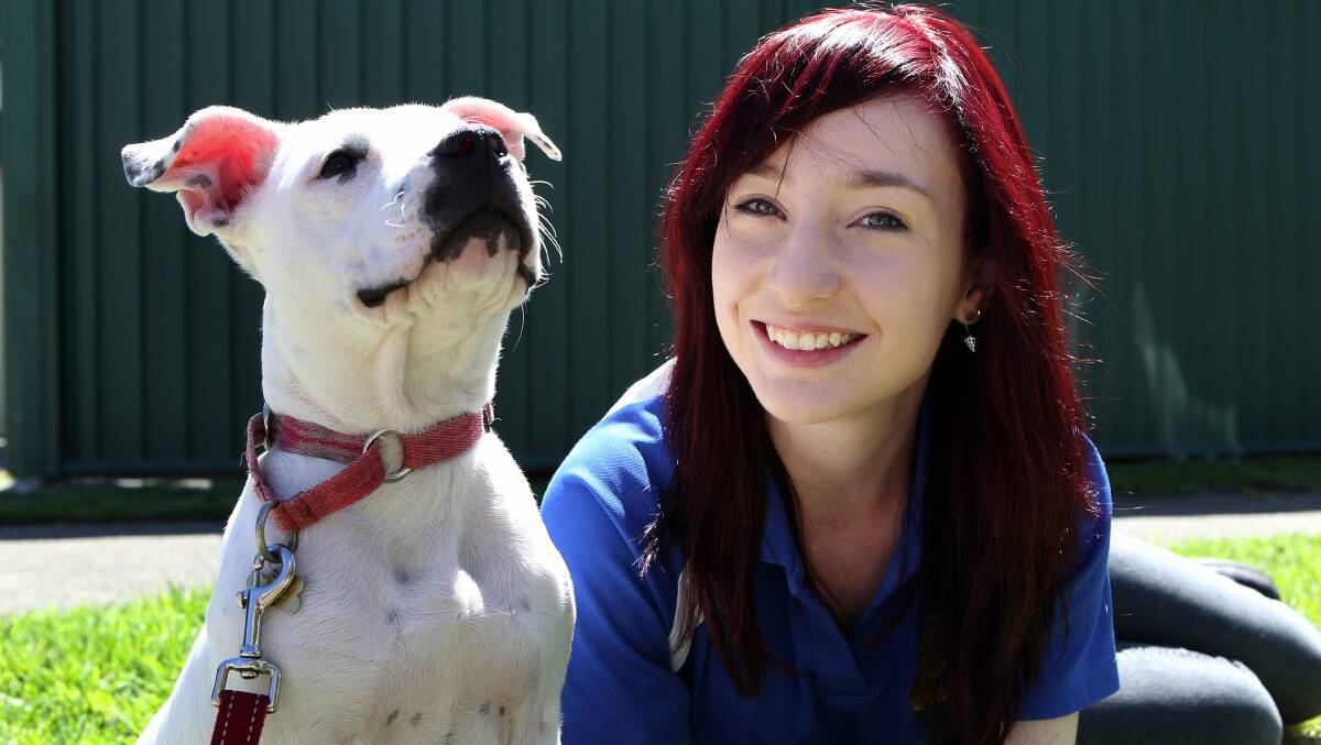 Going Green: Sydney Dogs and Cats Home has been named a recipient in the Georges Rivers Council green grants fund. Pictured: Caroline Hamilton with dog Sass. Picture: John Veage