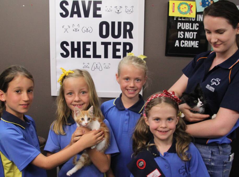Helping hand: Girl Guides Olivia, Ava, Mia, Eleanor with leader Jess visit the Sydney Dogs and Cats Home. Picture: Supplied