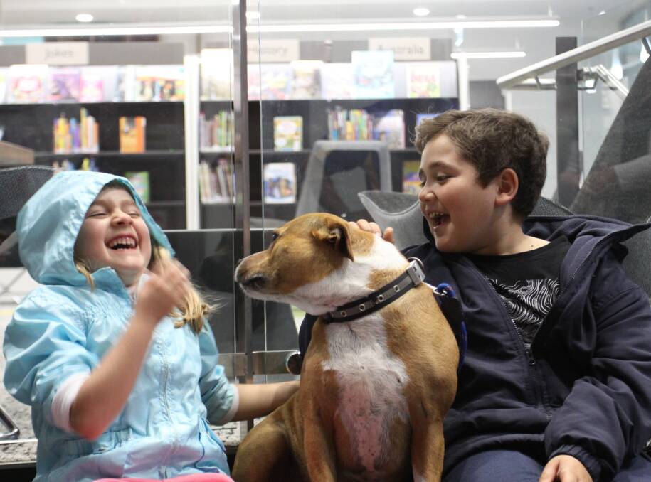 Reunited: Jasmine Gauci, 6, and Joshua Gauci, 8, welcome back their beloved staffy Izzy. Picture: Supplied