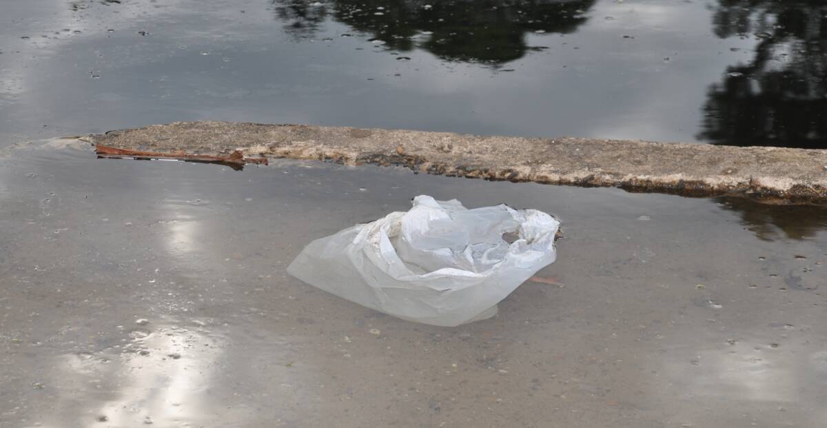 Great concern: A single-use shopping bag floats in a section of the Hacking River where Tom and Gina Grant have seen green sea turtles in summer.