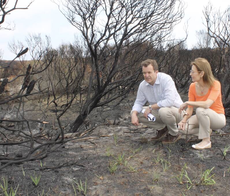 Mark Speakman and Gabrielle Upton at Kurnell, where green shoots are appearing after the devastating fire. Picture: supplied