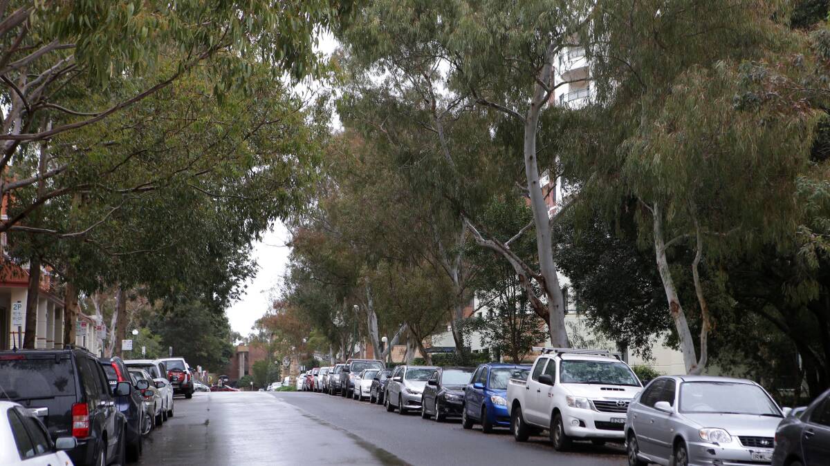 Canopy concerns: Mark Speakman says, "As a government, our aim is to significantly increase the urban tree canopy, not reduce it.” Picture: John Veage