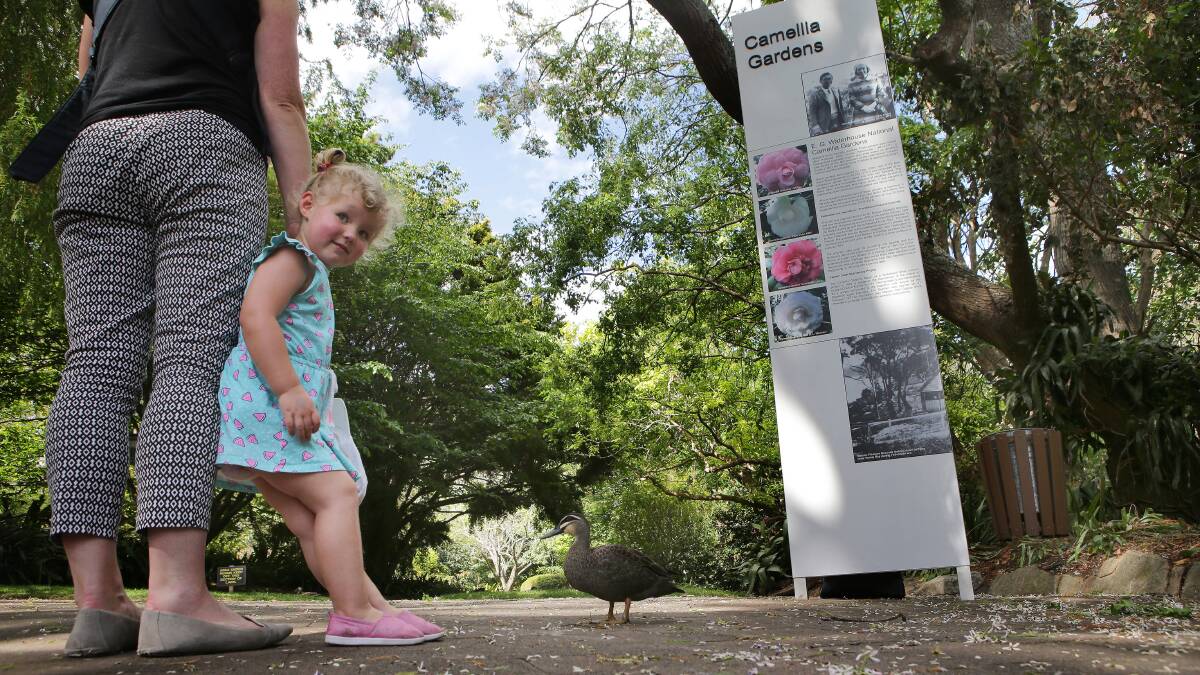 Little Eva is more interested in the ducks than the new sign. Picture: John Veage