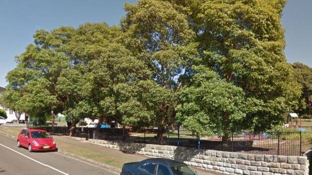 Scene of attack: Gardiner Park, Banksia. Picture: Google Maps