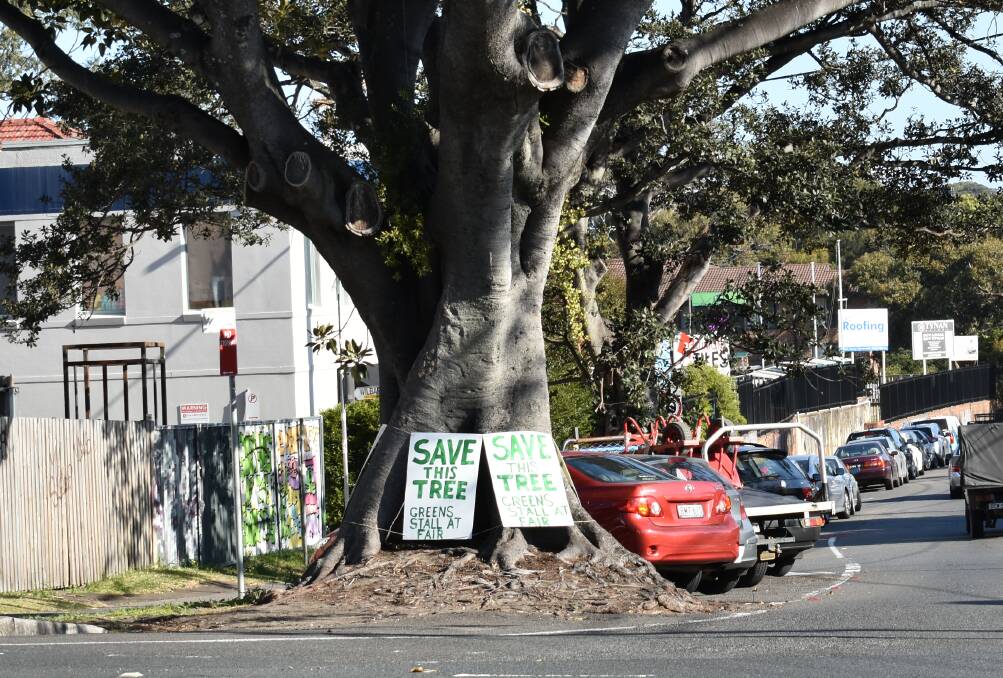 Signs placed around the tree asking for people to sign the petition. Picture: supplied