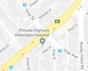 Intersection of Princes Highway and Gray Street, Kogarah. Picture: Google Maps