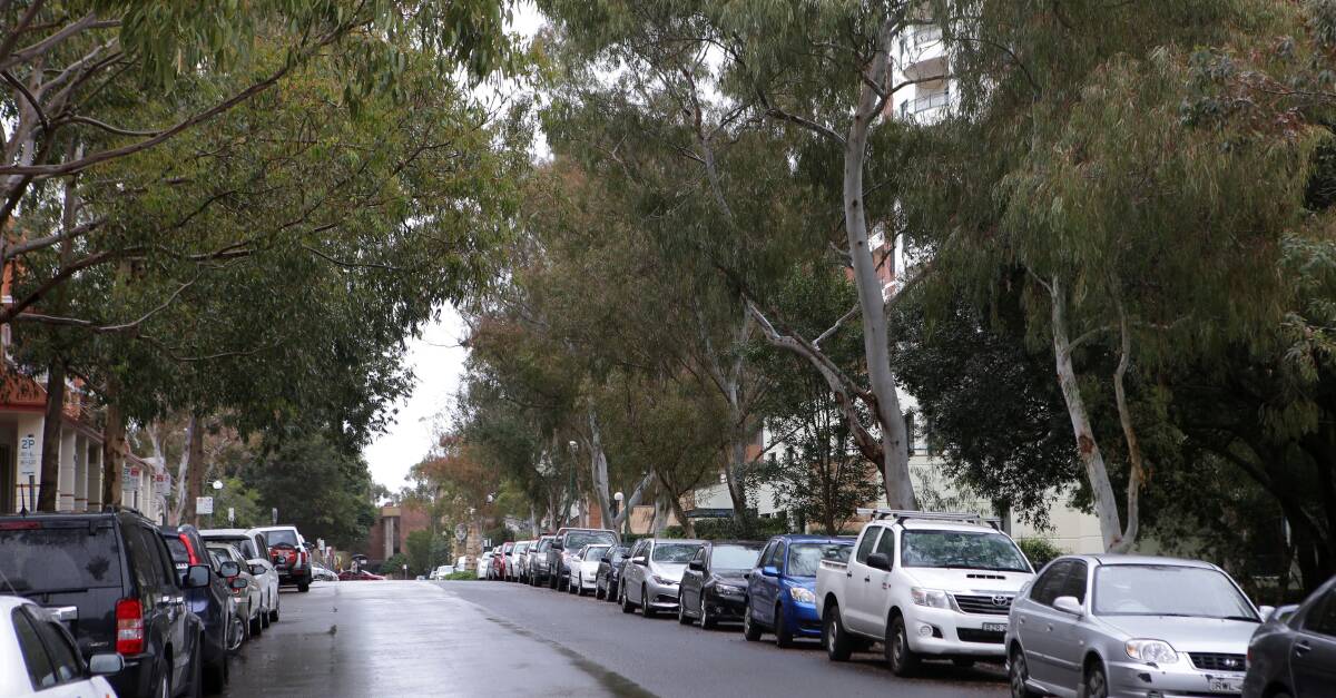 Canopy concerns: Sutherland Shire Council could have its tree protection powers curtailed under proposed new laws.