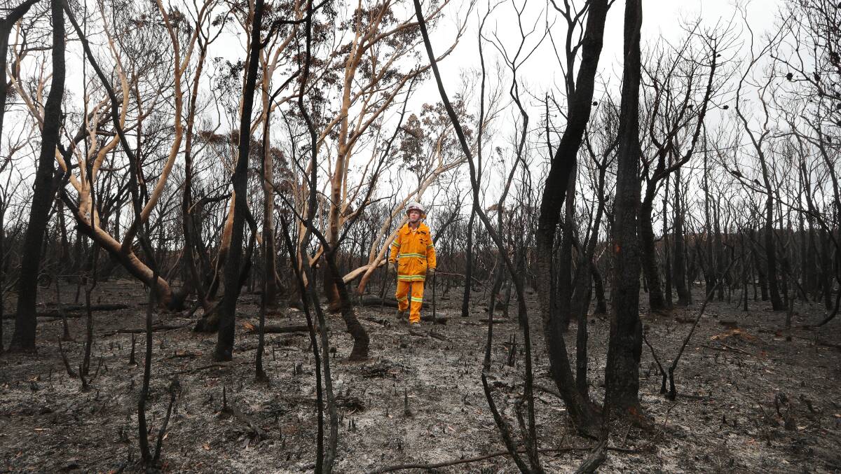 Need to be vigilant: Daniel Grant senior deputy captain of the Menai brigade in the aftermath of the fire that ripped through the Royal National Park. Picture: Sylvia Liber