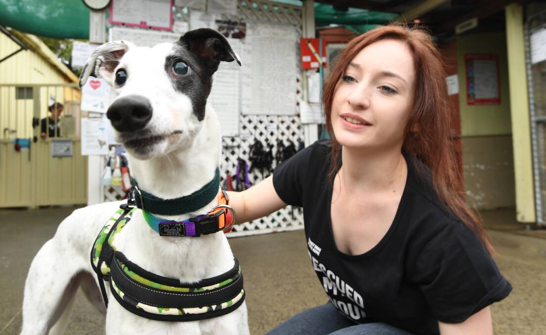 Rescued: Caroline Hamilton from the Sydney Dogs and Cats Home in Carlton with former racing greyhound, Milkshake.