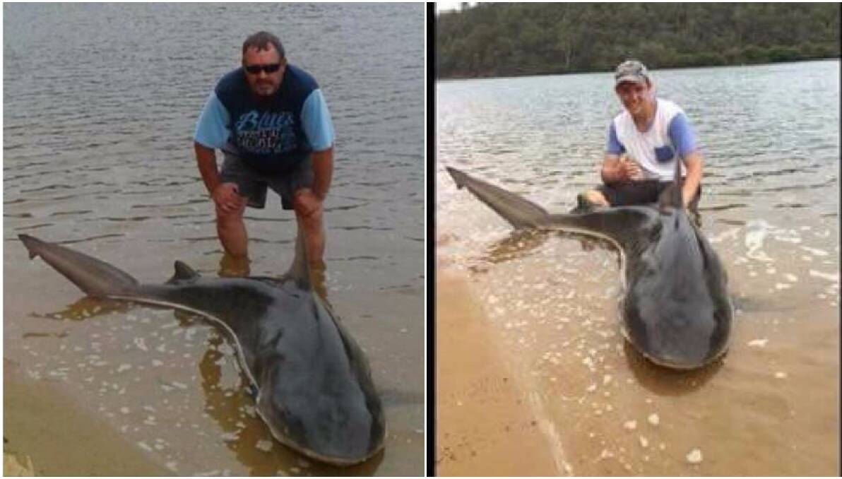 What a catch: The two fishermen with the bull shark found in the Georges River last November. Picture: Sydney's Fishing Forum Facebook​