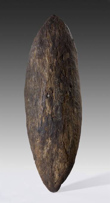 Precious artefact: The shield collected at Botany Bay in April 1770 from the Gweagal people. Picture: British Museum