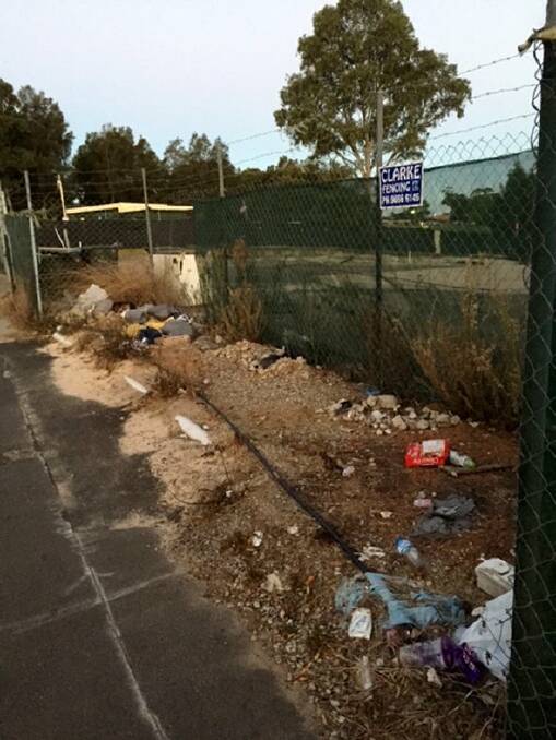 Enough is Enough: Michael Chang's pictures of what he describes as council neglect.
