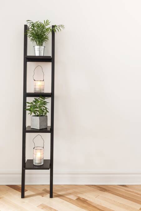 Shelf with plants and lanterns decorating a living room. Your Home indoor plants indoor plant bathroom plant