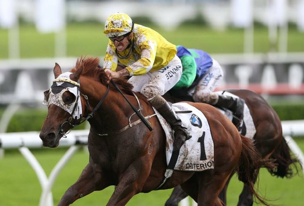 Tough test: Saturday's Hill Stakes will be a strong pointer to Criterion's Cox Plate chance. Photo: Anthony Johnson