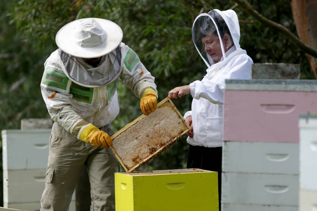 The importance of bees: Members of the Illawarra Beekeepers Association Lamorna Osborne (right) and Duncan McLeod want people to learn about bees. Picture: Jane Dyson
