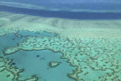 The Great Barrier Reef: One of the world's great wonders under threat.