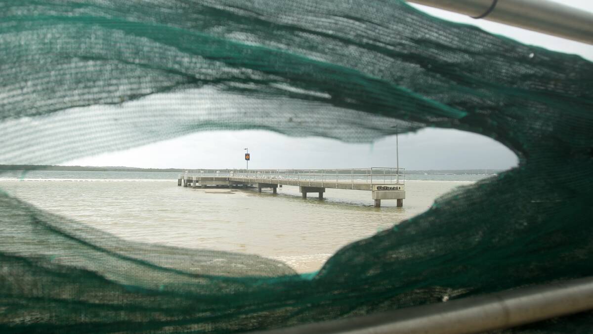 Grainy problem: Looking through the mesh at the beach at Dolls Point. Picture: Chris Lane