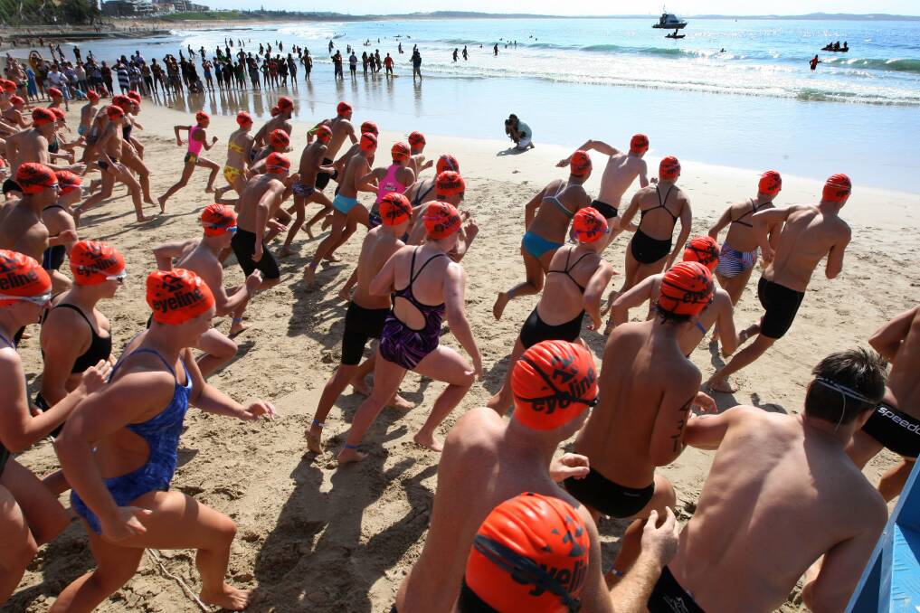 Off and swimming: The start of the 2014 Cronulla Shark Island Swim. Picture: John Veage