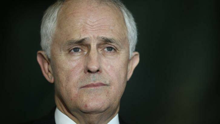 Communications Minister Malcolm Turnbull: "There are some areas of ambiguity in the entitlement system but I really think … the fundamental principle is often one of common sense."   Photo: Alex Ellinghausen