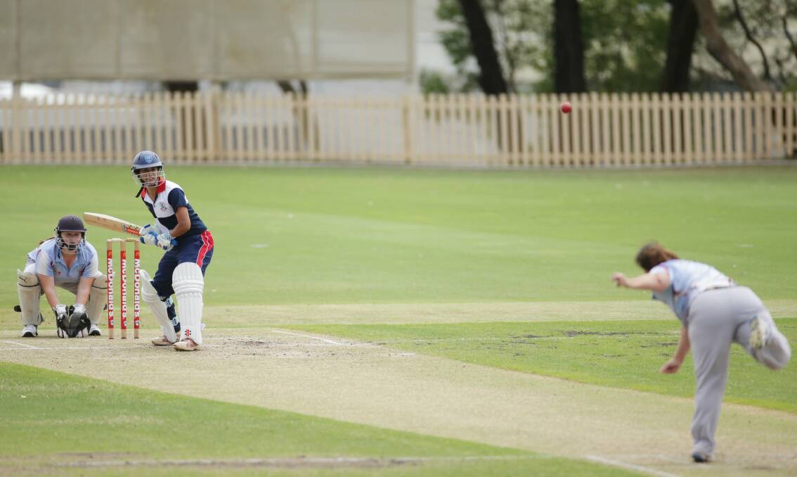 Give our region's grounds a chance: St George Sutherland women's first grade team the Slayers in action against Gordon this season at Glenn McGrath Oval. Picture Chris Lane