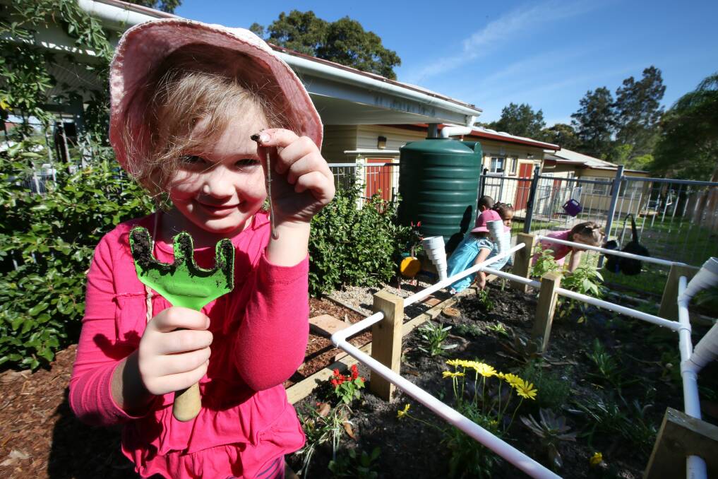 Pictured with a worm from the garden is Miette Buckingham age 4.
Picture: Dean Osland
