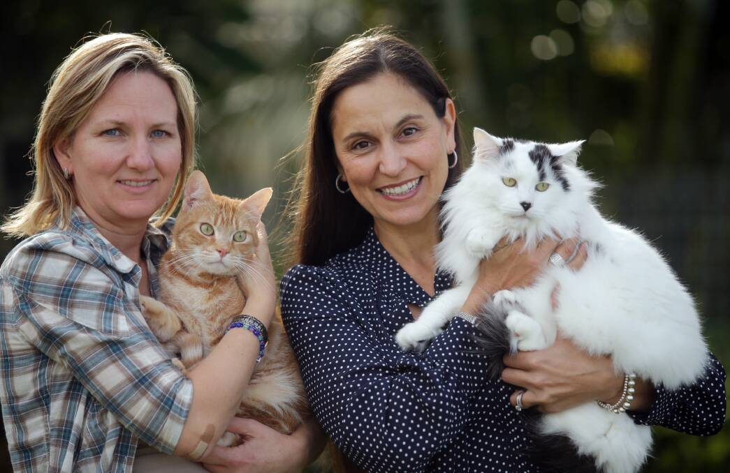 Giving animals another chance: Sydney Pet Rescue and Adoption volunteers Kylie Osgood (left) and Laila Williams with two of the pets needing new homes. Picture: Chris Lane