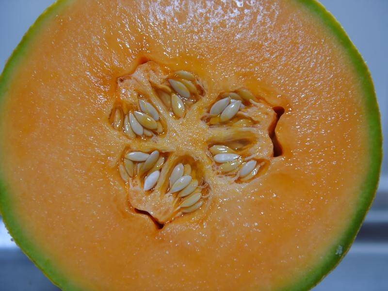 Update  | Three dead from eating contaminated rockmelon