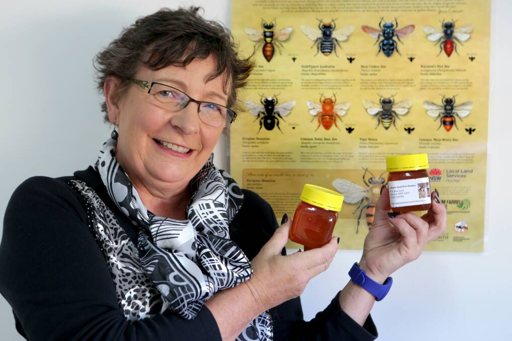 Bee safety in expert hands: Illawarra Beekeepers Association spokeswoman Lamorna Osborne said the threat to bees from exotic pests is a serious problem. Picture: Jane Dyson