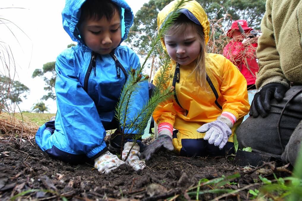Watch them grow: Zac Rogers and Claire Sheekey busy at work planting trees at their preschool. Picture: John Veage
