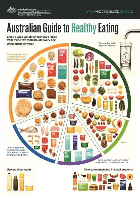The Department of Health and Ageing's recommended diet. Photo: The Department of Health and Ageing