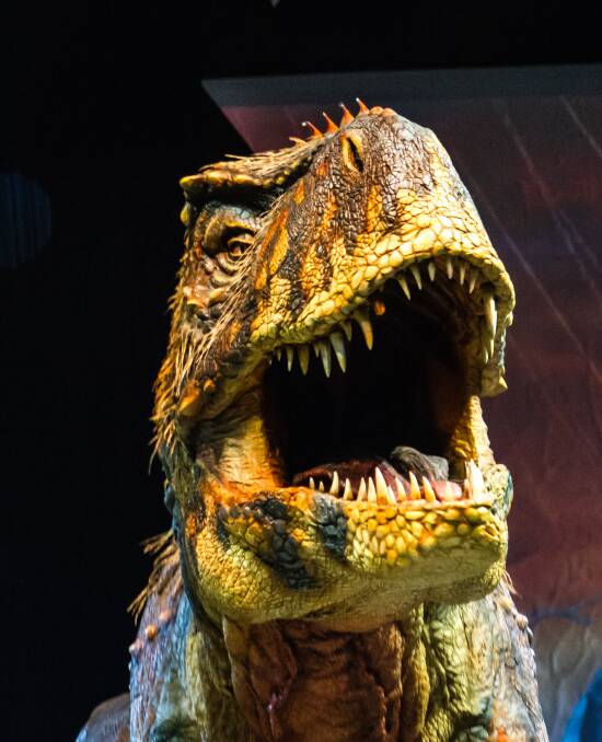 Who's a pretty boy: T-Rex had feathers.