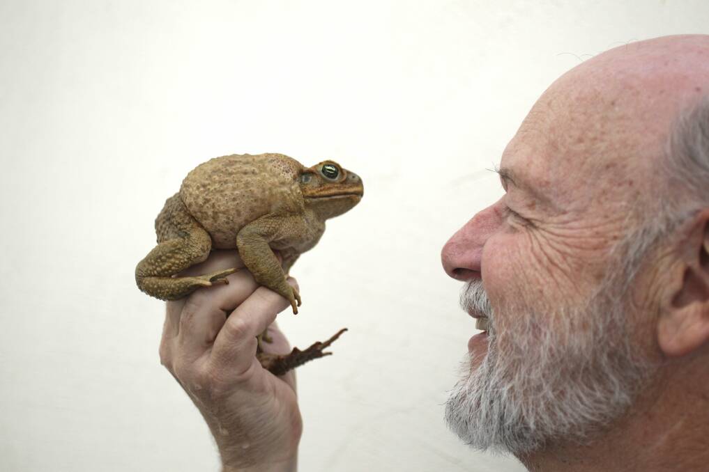 Portrait of a cane toad  with Professor Rick Shine from the Shine lab at Sydney university. Picture: Jacky Ghossein 