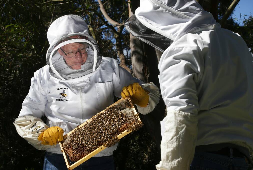NSW Governor David Hurley is visting the Sutherland Beekeepers Club to learn about starting a hive at Government House.Picture John Veage
