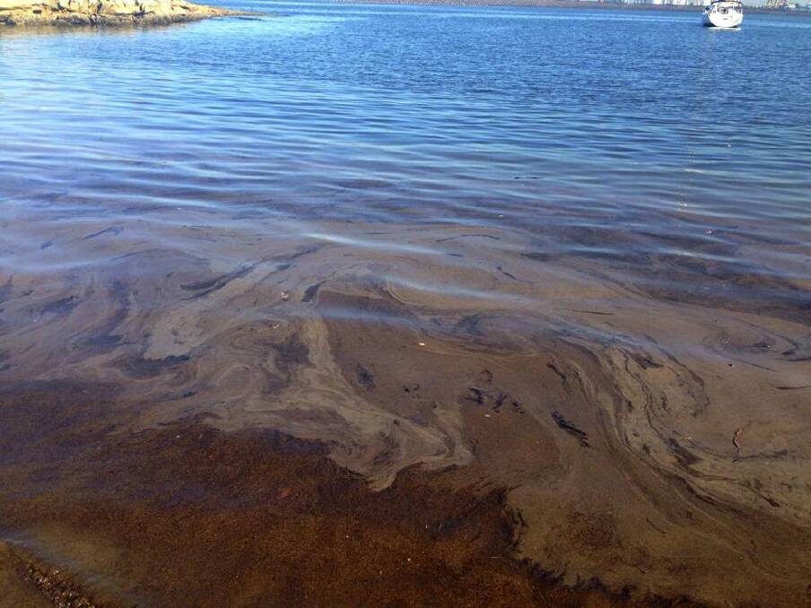 Bad smell: A release of oily water from Caltex’s Kurnell refinery has caused environmental concerns.
Pictures: Stan Konstantaras, Chris Anagnostou
