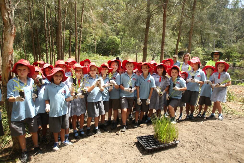 For our future: Oatley West Public School pupils took part in a tree-planting day earlier this year. Picture: Jane Dyson