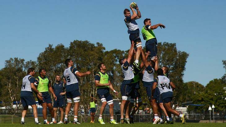 High flyer: Ben McCalman  takes a lineout ball during a training session on the Sunshine Coast.  Photo: Cameron Spencer