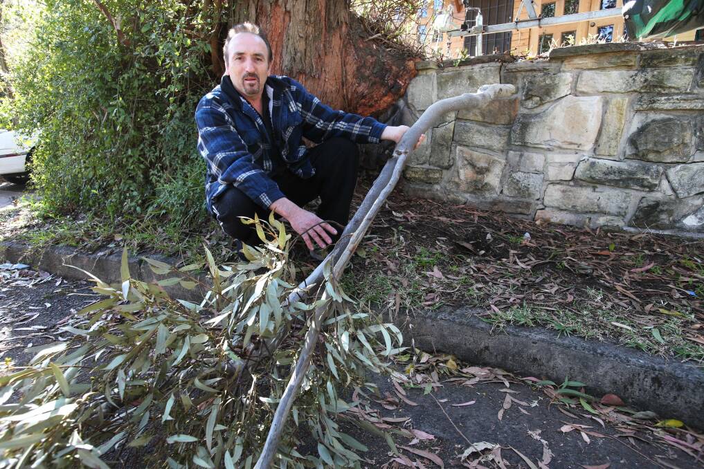 This tree has outlived its welcome: Frank Sposari reckons he could have been killed by this branch.He has been trying to get Kogarah Council to get rid of the tree for years. Picture: Jane Dyson
