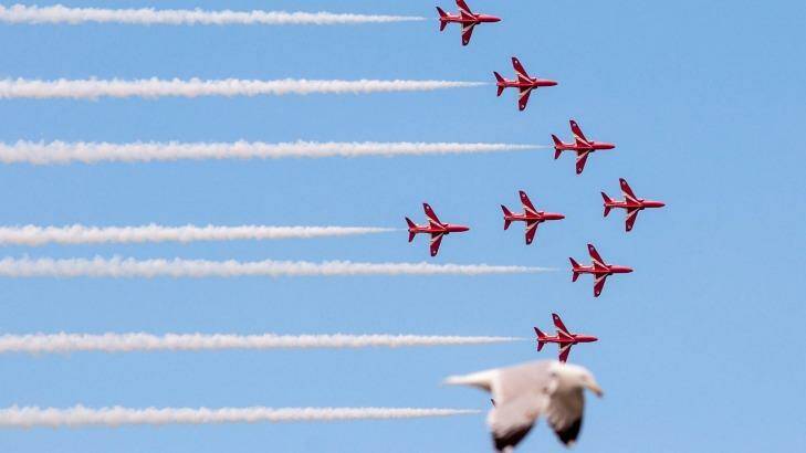 A seagull has become an internet sensation after taking the place of a Red Arrow at the Llandudno Air Show in a photo by first year photography student Jade Coxon. Photo: Jade Coxon/Snapper Media