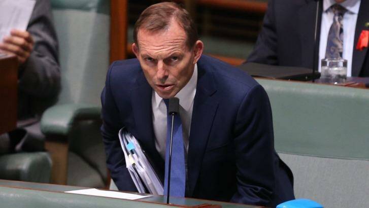 Tony Abbott during question time on Thursday. Photo: Andrew Meares
