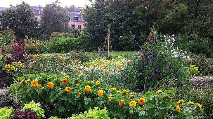 Potager garden in the Botanic Gardens. Photo: Catherine Marshall