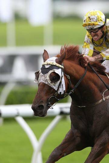 Tough test: Saturday's Hill Stakes will be a strong pointer to Criterion's Cox Plate chance. Photo: Anthony Johnson