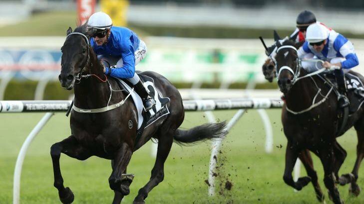 Comeback kid: Sam Clipperton and Complacent take out the Chelmsford Stakes at Randwick. Photo: bradleyphotos.com.au