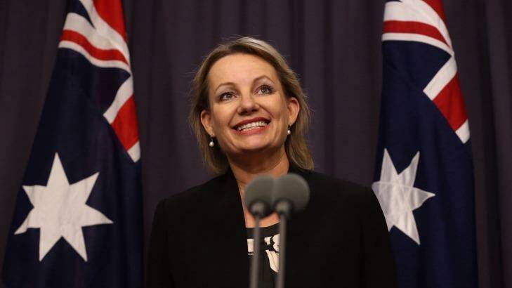 Health Minister Sussan Ley has flagged changes to the PBS in the May budget. Photo: Andrew Meares